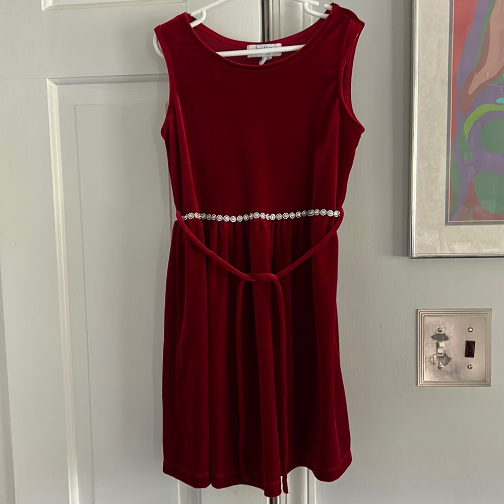 Velveteen Red Dress
